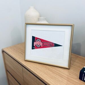 College/University Pennant Flags Framed 11x13